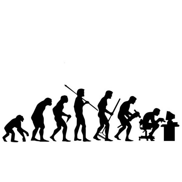 Programmer Evolution